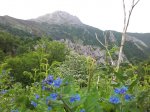 20120602_112233.jpg