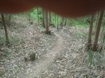 2012-06-05155237.jpg