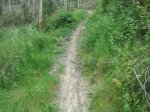 2012-06-05155345.jpg