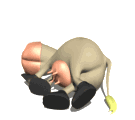 caradwht.gif