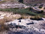 img1149mp.jpg