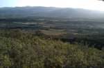 IMAG0011.jpg