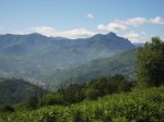 IMG_3663.JPG