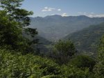 IMG_3651.JPG