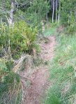 IMG_0305.JPG