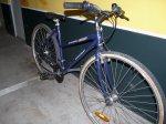 Bici 2.JPG