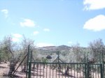 IMGP0088 (Copiar).JPG