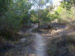 senda  ktm por la carretera.JPG