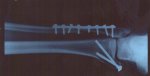 Ferreteria.jpg