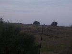 P0000006_redimensionar.JPG