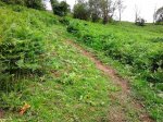 2012-07-05 19.57.04.jpg