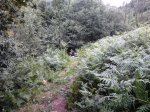 2012-07-05 20.18.43.jpg