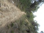 DSCN7050.JPG