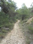 DSCN7051.JPG