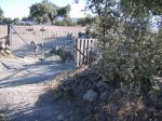 IMGP0024 (Copiar).JPG