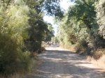 IMGP0028 (Copiar).JPG