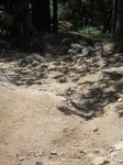 IMG_0738.JPG