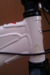 sc2 (700 x 1050) (400 x 600).jpg