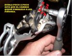 PIÑON CAMBIO.jpg