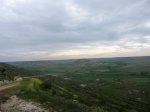 IMG_0865.JPG