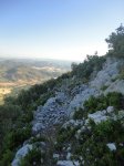 MOGOTE JULIO 2012 009 (Copiar).jpg
