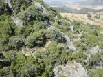 MOGOTE JULIO 2012 016 (Copiar).jpg