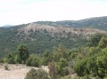 P7220329 (Copiar).JPG