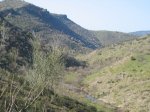 IMG_7536_redimensionar.JPG