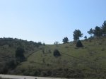 IMG_7554_redimensionar.JPG