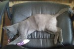 DSC_02d07.jpg