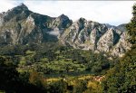 zona o-pie.jpg