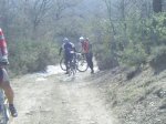 PIC_0004.jpg