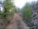 camerazoom2012082009492.jpg