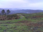 14012007366.jpg