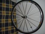 DSC09038.jpg