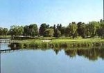 golffotolomasbosque.jpg
