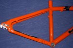 rear triangle.jpg