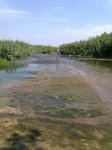 Imagen0078.jpg