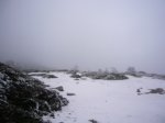 P0000031_redimensionar.JPG