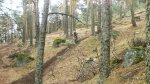 P9302043.jpg