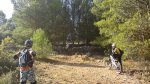 malaguita.jpg