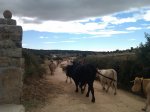 IMAG0229_1.jpg