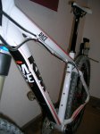 DSCN6619.JPG