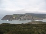 IMG_0002comp.JPG