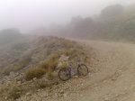 Niebla.JPG