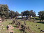 IMAG02571_1.jpg
