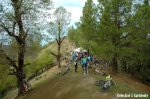 DSC_6162 copia.JPG