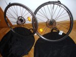 DSC06046.JPG