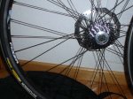 DSC06048.JPG