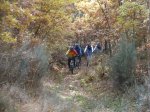 PB110003 (Copiar).JPG